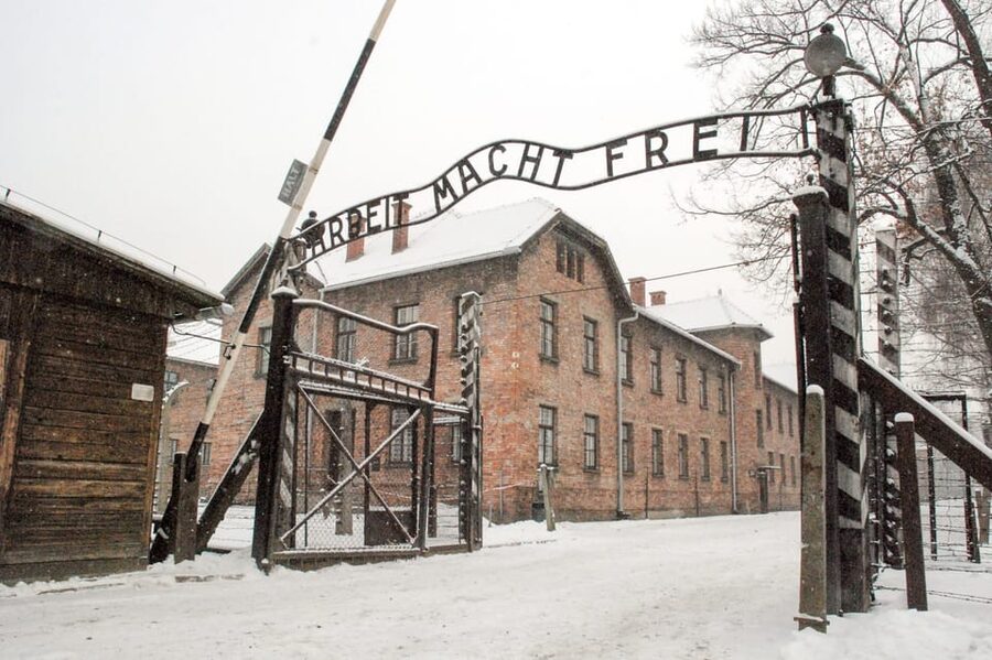 Krakow: Auschwitz & Wieliczka Salt Mine Guided Day Tour - Why the guides and drivers matter on such a long day