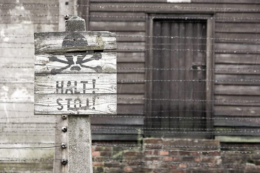 Krakow: Auschwitz & Wieliczka Salt Mine Guided Day Tour - Who should book it, and who should split the visits?