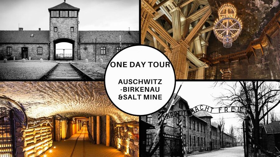 Krakow: Full-Day Auschwitz-Birkenau & Salt Mine Guided Tour - One long day, two very different places