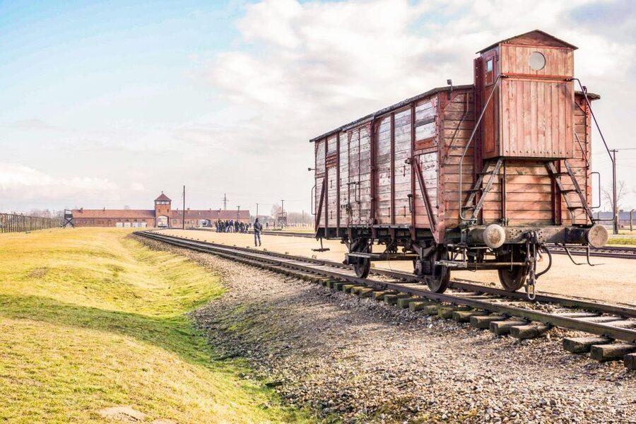 Krakow: Full-Day Auschwitz-Birkenau & Salt Mine Guided Tour - Timing, group size, and the value of $118