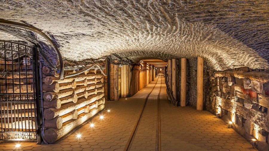 Krakow: Full-Day Auschwitz-Birkenau & Salt Mine Guided Tour - What to bring and what to leave behind