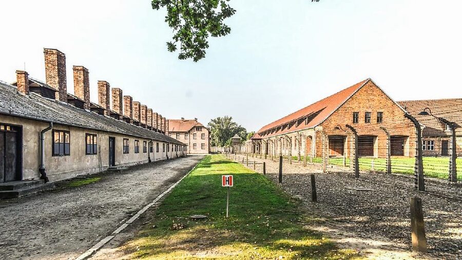 Krakow: Full-Day Auschwitz-Birkenau & Salt Mine Guided Tour - Who will get the most from this trip?
