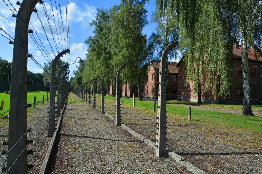 Krakow: Guided Auschwitz Birkenau Tour - Why this Auschwitz tour is worth considering