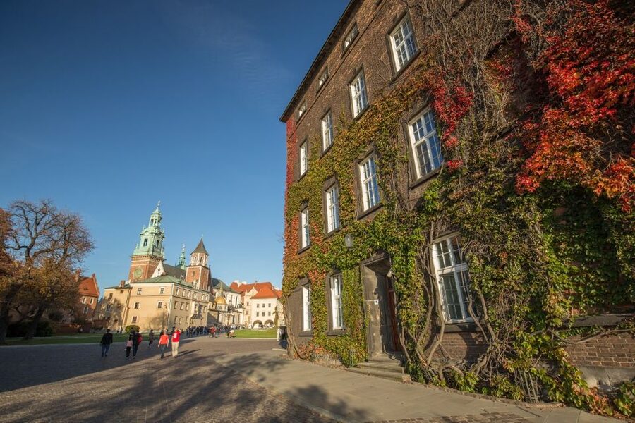 Krakow: Guided Wawel Tour, Lunch, and Vistula River Cruise - Cruising the Vistula on a modern catamaran