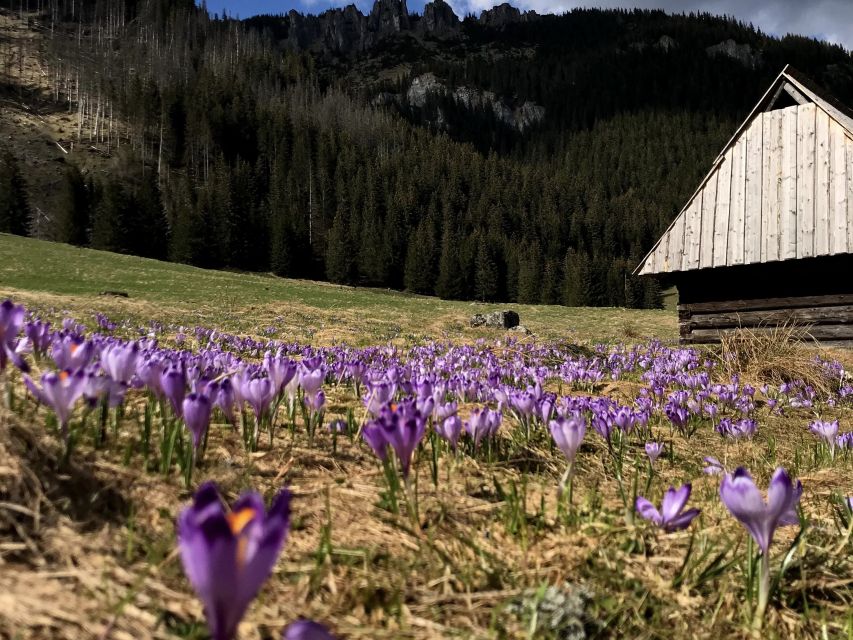 Krakow: Hiking Adventure in Tatra Mountains & Thermal Baths - Termy Bukovina after the hike