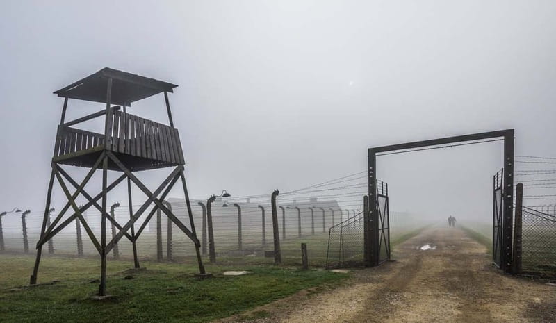 Krakow: Last Minute Auschwitz-Birkenau Guided Tour - The short transfer to Birkenau
