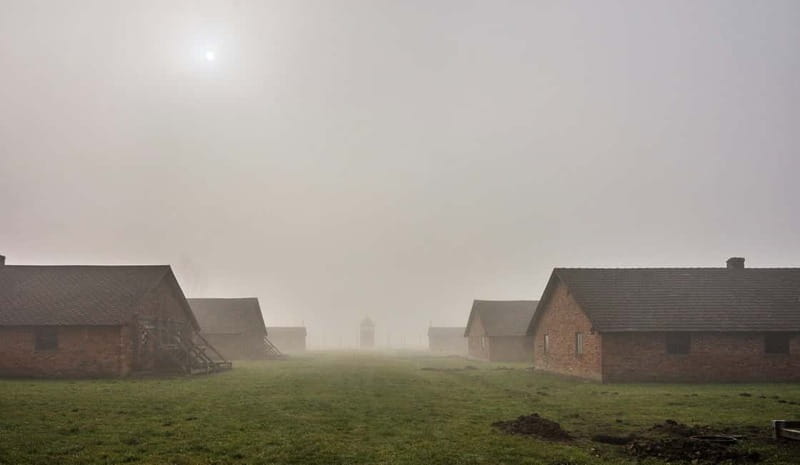 Krakow: Last Minute Auschwitz-Birkenau Guided Tour - Walking through Auschwitz II-Birkenau