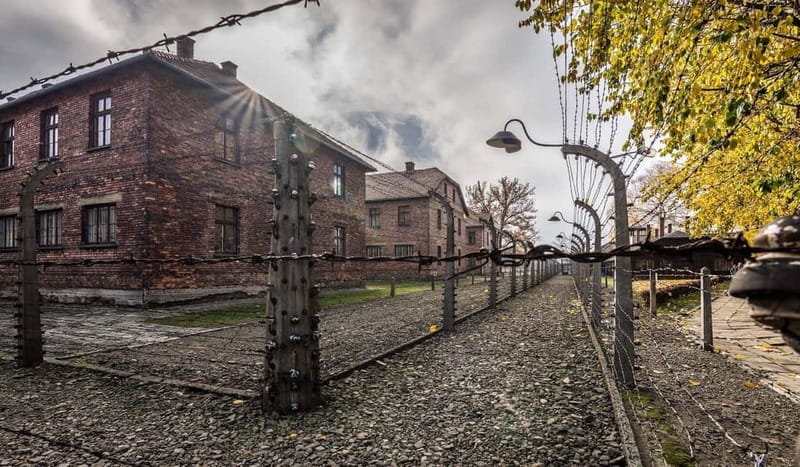 Krakow: Last Minute Auschwitz-Birkenau Guided Tour - Guide quality and the tone of the day