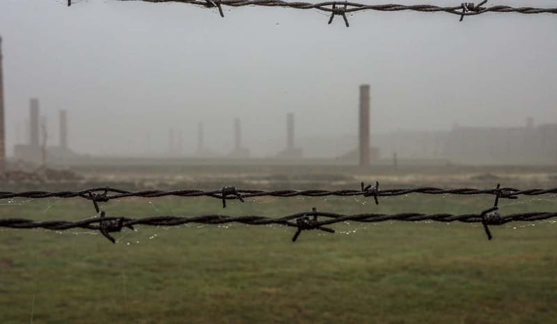 Krakow: Last Minute Auschwitz-Birkenau Guided Tour - Is $80 good value?