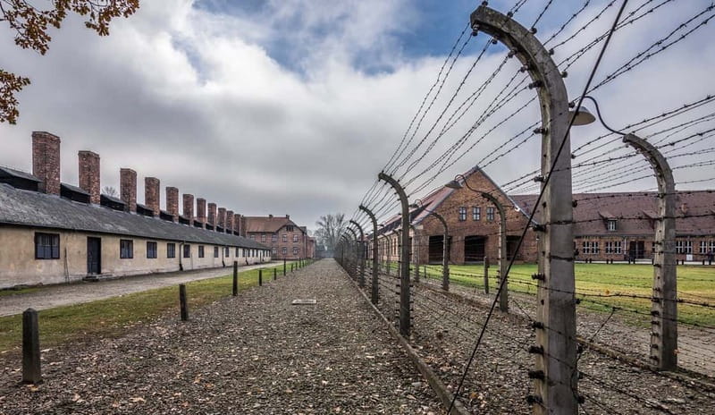 Krakow: Last Minute Auschwitz-Birkenau Guided Tour - What to bring and what to leave behind