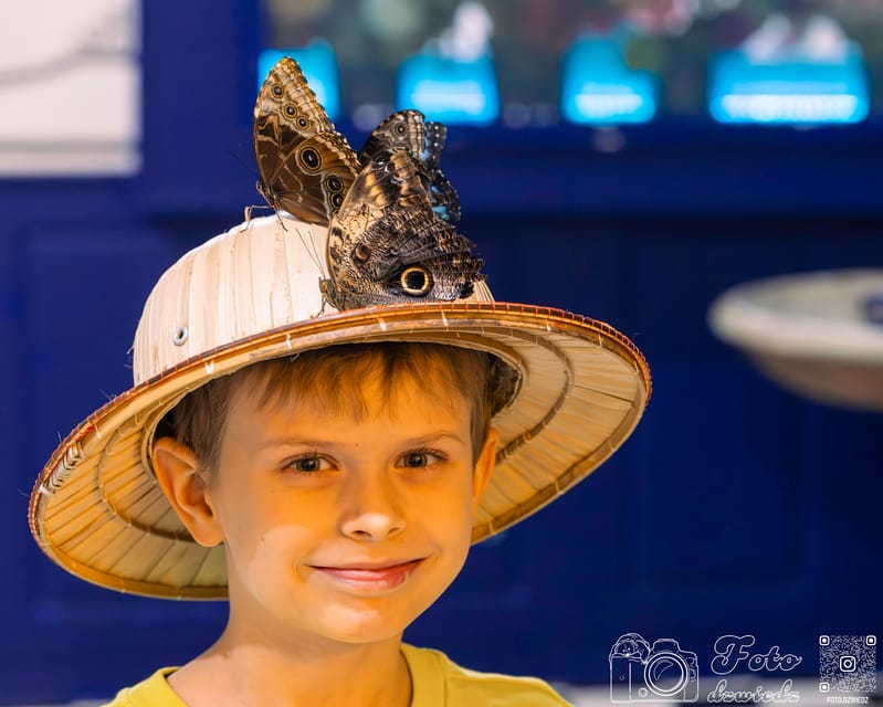 Krakow: Living Butterflies Museum ''House Of Attractions'' - Why the bunnies and birds add value