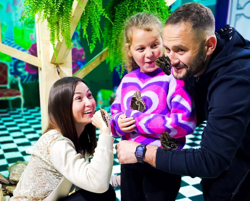 Krakow: Museum of Living Butterflies 2+1 - What the Museum of Living Butterflies is like