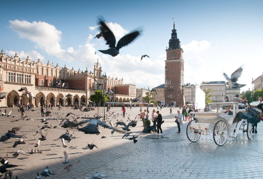 Krakow: Old Town Private Guided Walking Tour - Collegium Maius and Poland’s oldest university