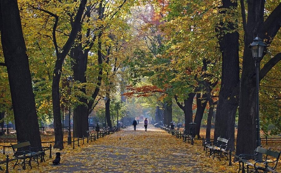 Krakow: Old Town "Royal Route" Walking Tour - Starting through Planty Park and the Old Town