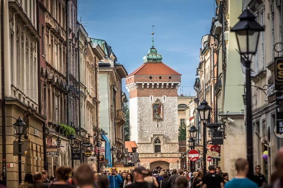 Krakow: Old Town "Royal Route" Walking Tour - Wawel Hill, the castle, and the cathedral