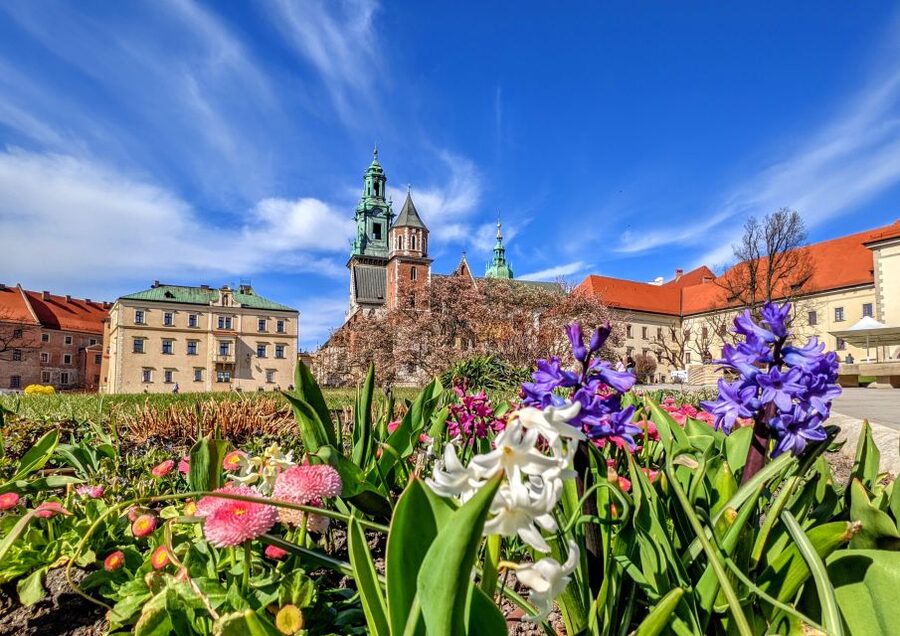 Kraków: Old Town & Wawel Castle Walking Tour in English - Meeting the Wawel Dragon