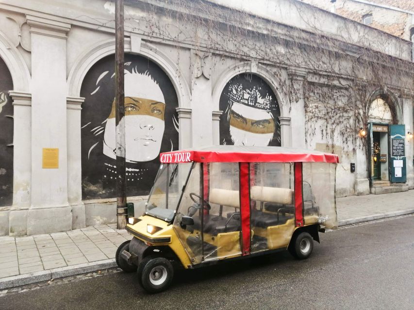 Krakow: Private Sightseeing Tour by Electric Car - Who will get the most from it?