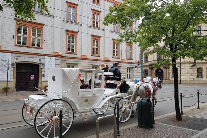 Krakow Private Walking Tour - Wawel Castle in a focused half hour