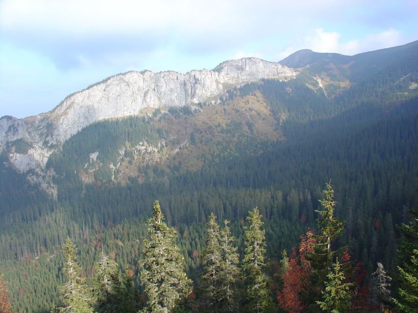 Krakow: Tatra Mountains and Zakopane Full-Day Private Tour - Peksowy Brzyzek Cemetery and Its Wooden Art