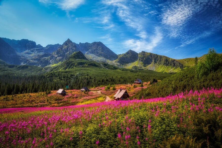 Krakow: Tatra Mountains and Zakopane Full-Day Private Tour - Krupowki Street and Zakopane’s Town Center