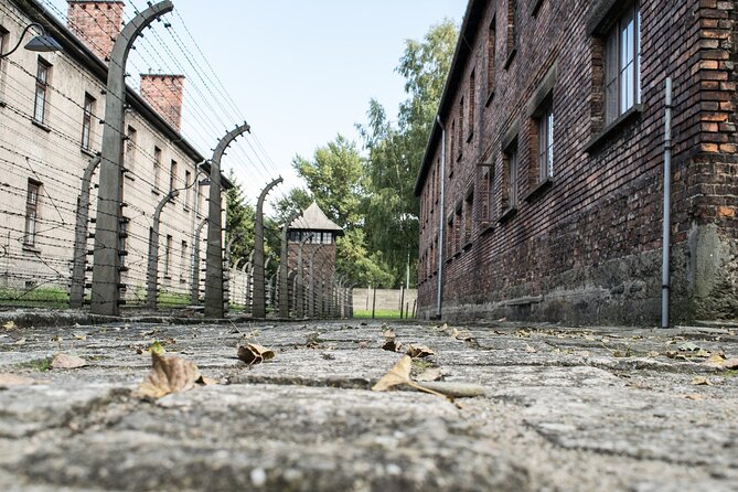 Krakow to Auschwitz Birkenau Guided Tour with Ticket and Transfer - What the day is meant to include