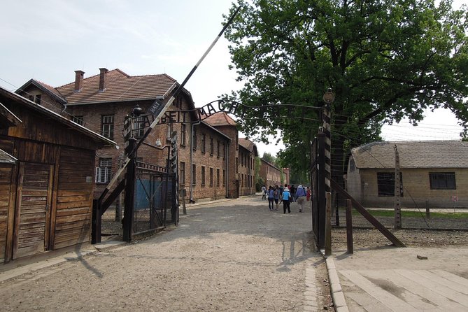 Krakow to Auschwitz Birkenau Guided Tour with Ticket and Transfer - Language, guide quality, and group pace