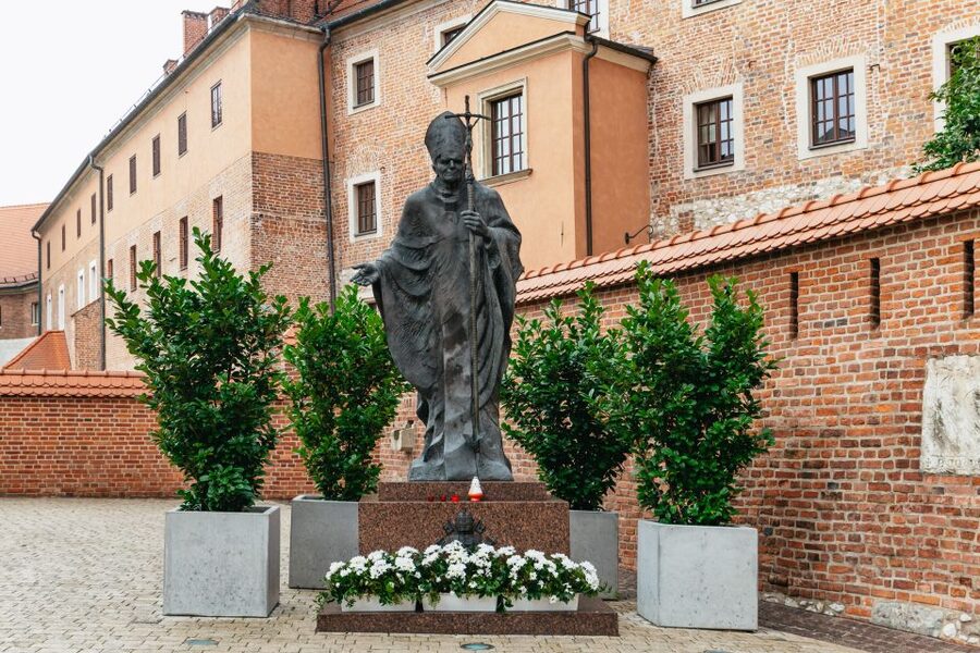 Krakow: Wawel Royal Hill with Optional Castle and Cathedral - Guide quality and the pace of the presentation
