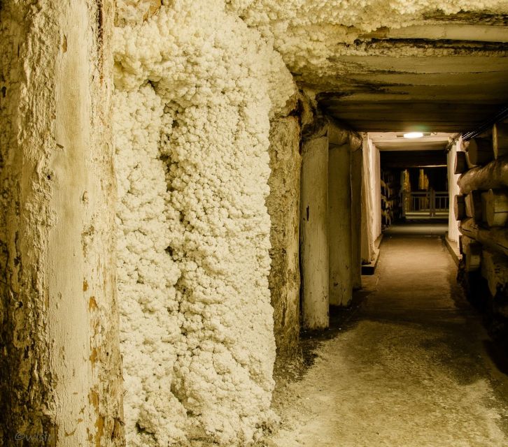Krakow: Wieliczka Salt Mine Skip-the-Line Live Guided Tour - Who Should Book This Tour?