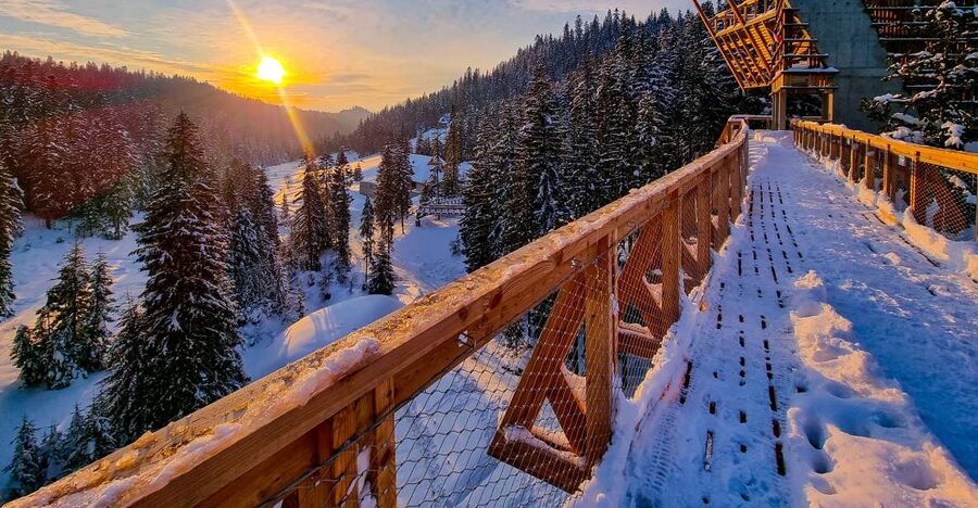 Krakow: Zakopane, Thermal Baths and Gorce Park Treetop Walk - Local cheese and drinks between the activities