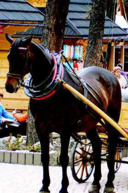 KRAKOW ZAKOPANE TOUR CABLE CAR THERMAL BATHS & HOTEL PICKUP - Who will enjoy this outing most