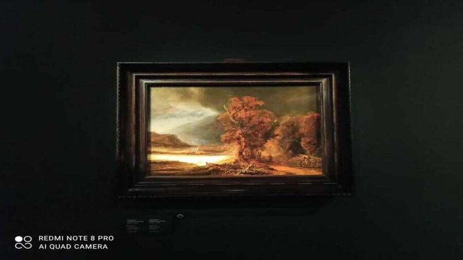 Museo Czartoryski: Visita in italiano e salta la fila - What the two-hour Italian tour is like