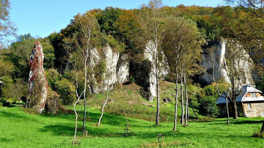 Ojcow National Park: Full-Day Trip from Krakow - Who should book this Ojcow day trip