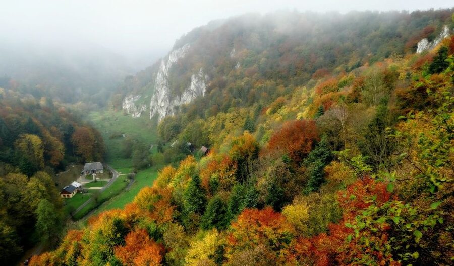 Ojcow National Park: Full-Day Trip from Krakow - Walking to Krakow Gate through the woods