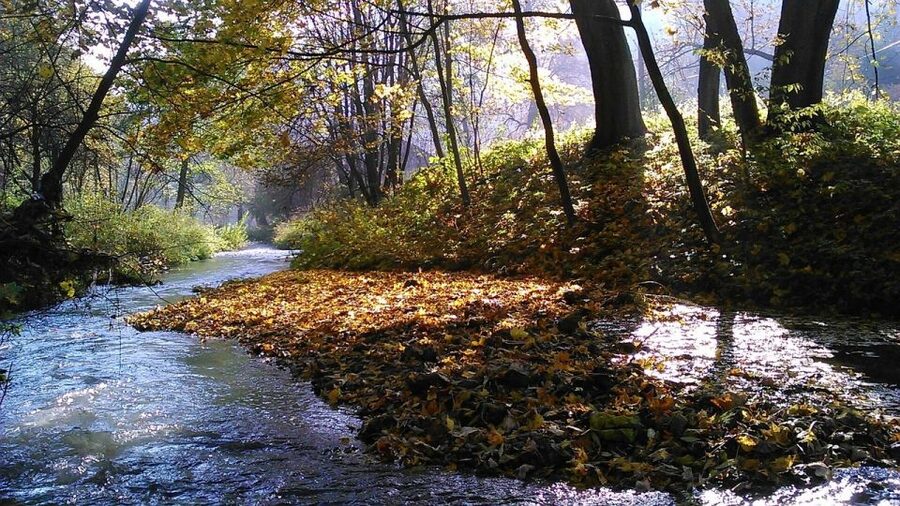 Ojcow National Park: Full-Day Trip from Krakow - Pieskowa Skala and the Polish Renaissance