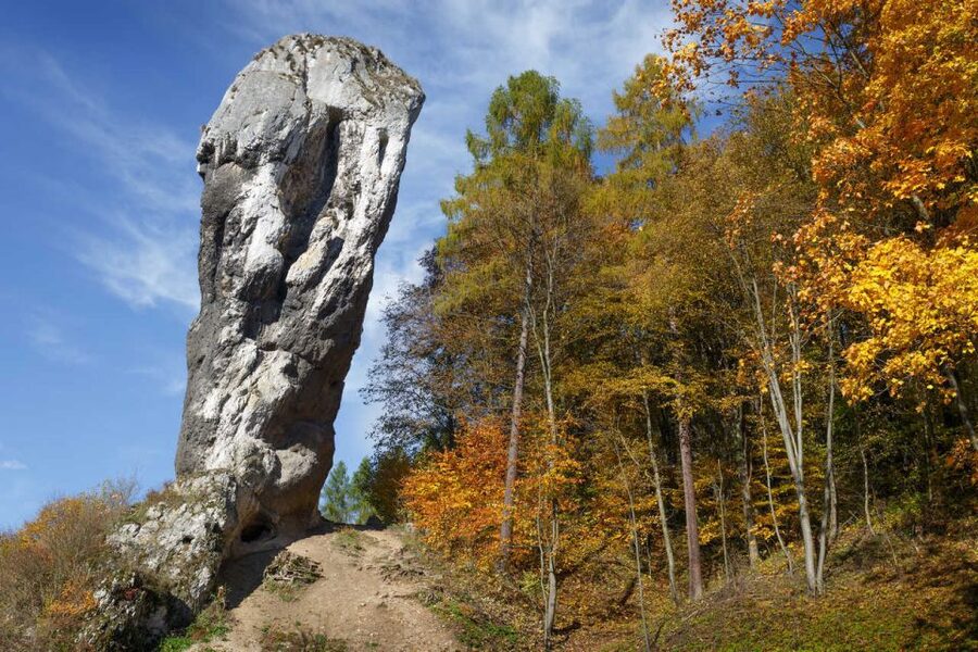 Ojcow National Park: Full-Day Trip from Krakow - How the guide shapes the experience