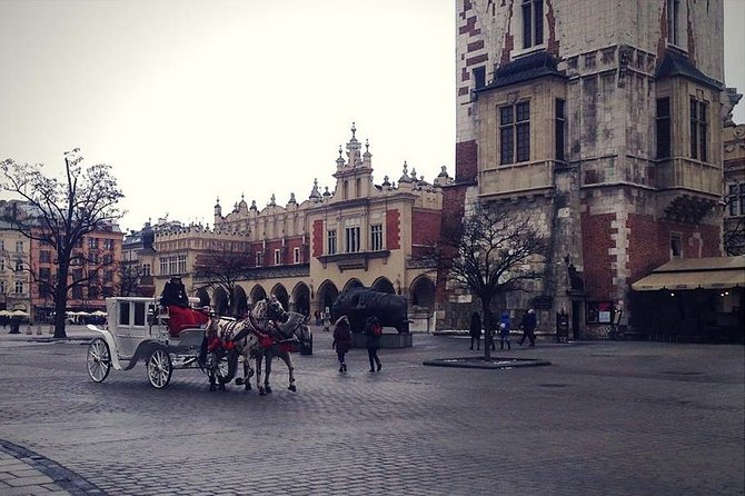 Old Town Krakow & Wawel Castle Walking Tour - A university courtyard at Collegium Maius
