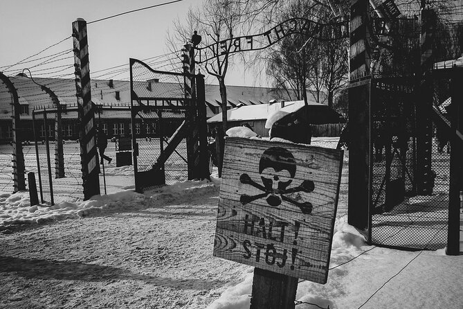 Private Guided Tour Auschwitz Birkenau with Transport from Krakow - What works best about the service