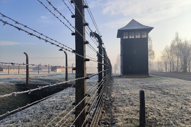 Private Guided Tour to Auschwitz & Birkenau from Krakow - Price, group size, and what you receive