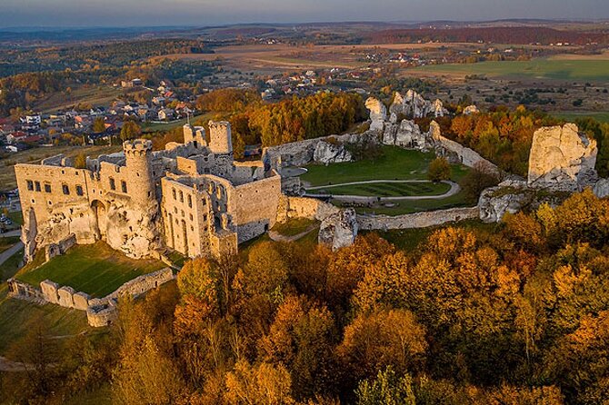 Private Guided Tour to Trail of the Eagles Nests from Krakow - Guide quality and historical commentary
