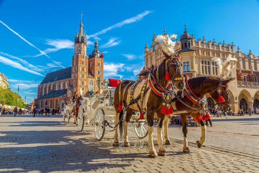 Private Krakow Tour: St. Mary’s, Cloth Hall & More - Should you book it?