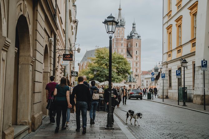 Private Tour of Krakow Old Town and Jewish Quarter in one walk - Collegium Maius and the quieter side of university history