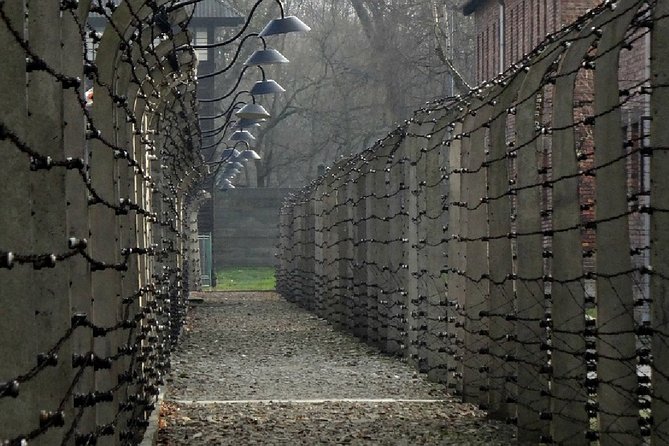 Two Krakow Airport Transfers, Auschwitz-Birkenau & Salt Mine - Auschwitz-Birkenau: a place that demands attention