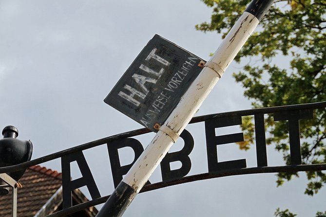 Two Krakow Airport Transfers, Auschwitz-Birkenau & Salt Mine - Who this experience suits best
