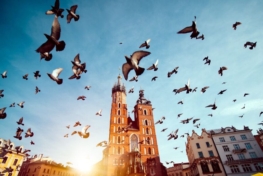 Wawel Castle & Cathedral Skip the Line Small Group Tour - Why Wawel Hill deserves your morning