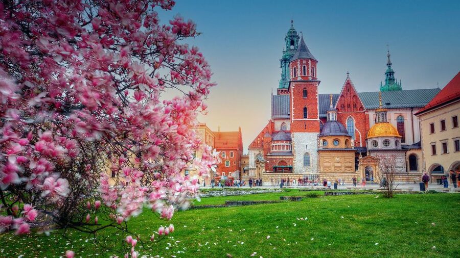 Wawel Hill Tour with Audio Guide - The Cathedral and Poland’s royal story