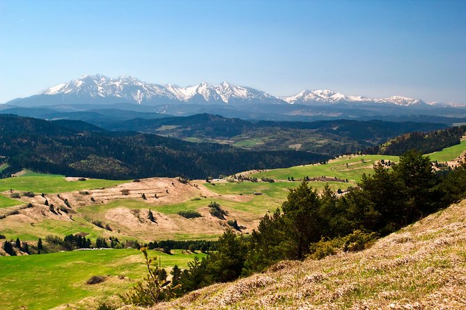 Zakopane and Tatras Mountains Day Tour from Krakow - Krupówki Street gives you room to choose