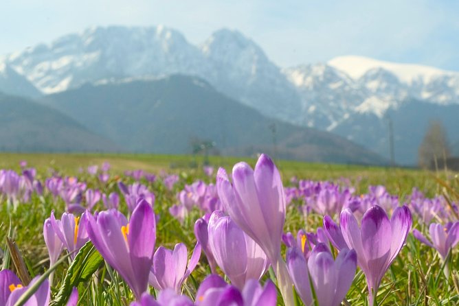 Zakopane and Tatras Mountains Day Tour from Krakow - Guides can shape the whole day