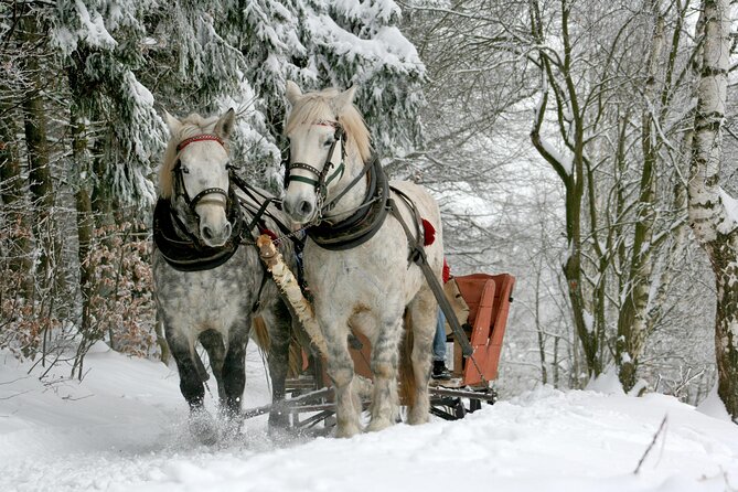 Zakopane Horse-Drawn Rides with Local Guide and Food Tasting - A country ride outside Zakopane