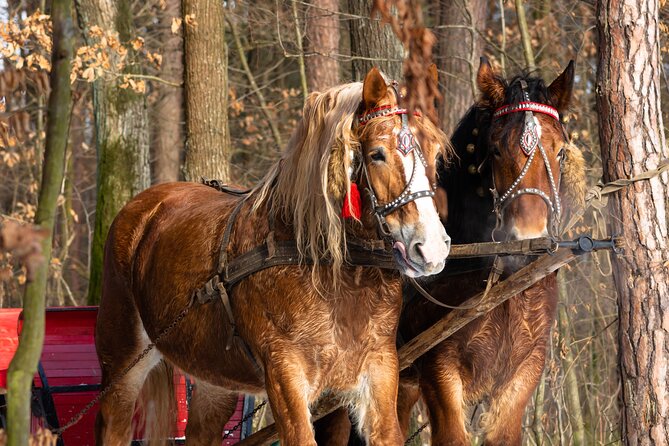 Zakopane Horse-Drawn Rides with Local Guide and Food Tasting - The bonfire and regional tasting