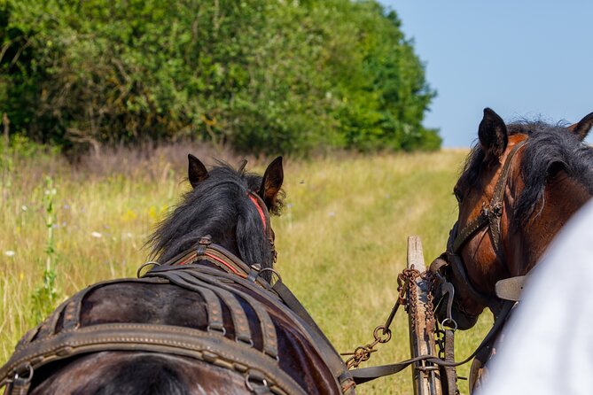 Zakopane Horse-Drawn Rides with Local Guide and Food Tasting - Pickup details need a careful check